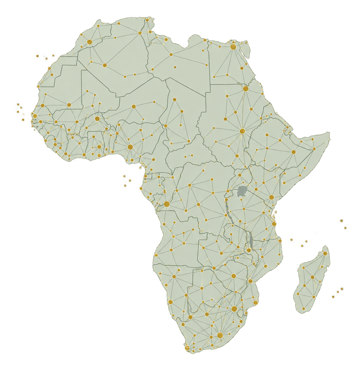 African institutional network